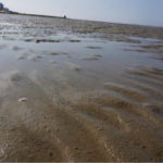 Watt vor Cuxhaven-Duhnen