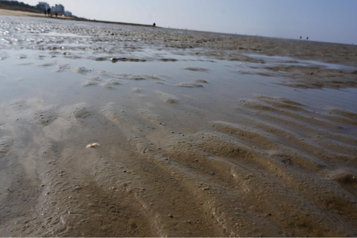 Watt vor Cuxhaven-Duhnen