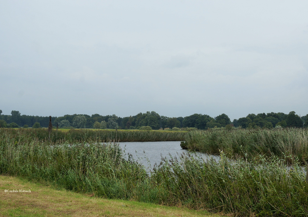 Oste hinter Bremervörde