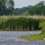 Die Nabu Vogelstation in der Wedeler Marsch